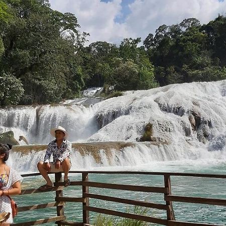 Posada Tzeltal Arroyo Agua Azul Luaran gambar