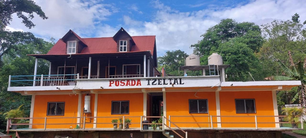 Posada Tzeltal Arroyo Agua Azul Luaran gambar