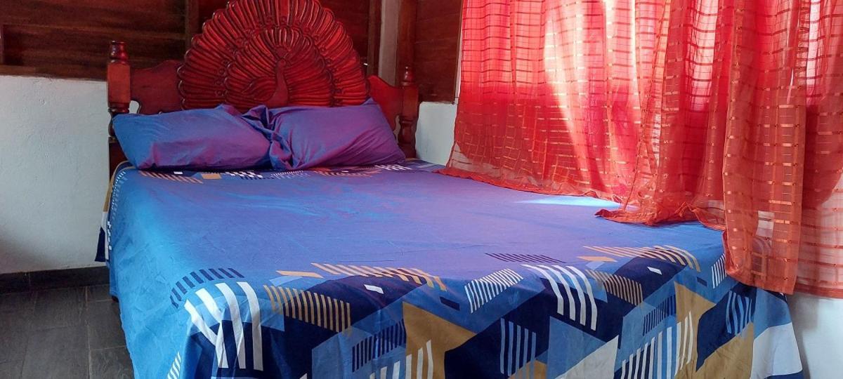 Posada Tzeltal Arroyo Agua Azul Luaran gambar